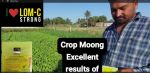 LOM C Strong Hindi FB Video Moong 15423