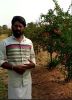 LOM C Strong Kannada FB Video Pomagrante 7423