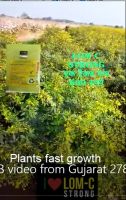Fast Growth FB video from Gujarat 27822