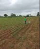 LOM Water mix Spraying Video 5823R