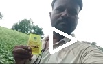 Pg Fb Chilli Marathi video 25825