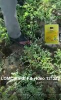 LOMC Hindi FB video 121222
