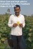 Virus Cure and high yield in Cucumber Gj FB Video 01 01 2024