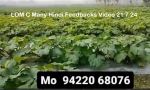LOM C Many Hindi Feedbacks Video 21 7 24