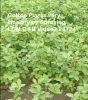 Plants Healthy FB Video2 25724