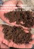 QOWDC made Organic Waste Compost - Rajkot FB Video dt 27624