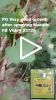 PG Very good growth after spraying Marathi  FB Video 23725