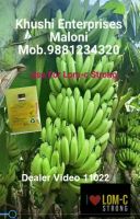 Dealer Video 11022