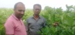 LOM C Excellent results Hindi FB Video 3923