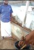 Ready DFA CMB 2 Litrs Increase Tamil FB Video 6923