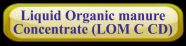LOM C CD gold button
