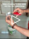 video image