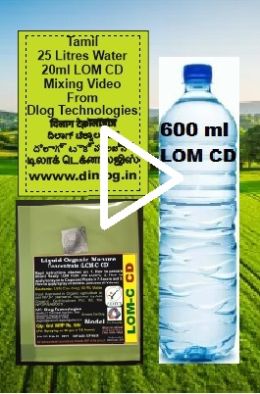 Tamil 25L