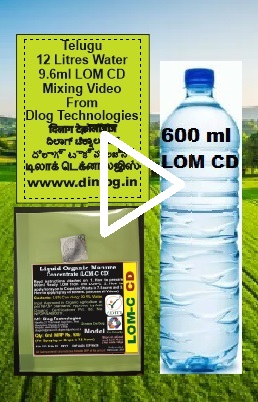 Telugu 12L